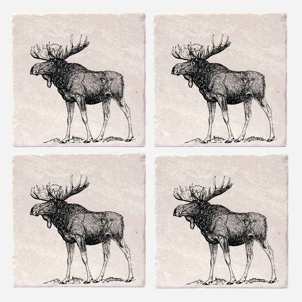 Moose Coasters: 4"x4"