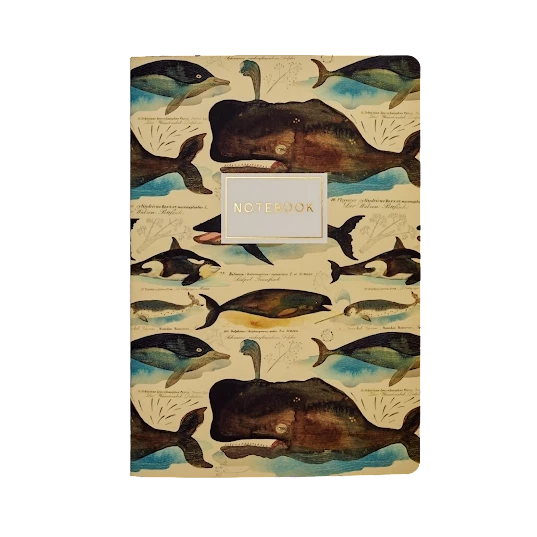 Whales Notebook