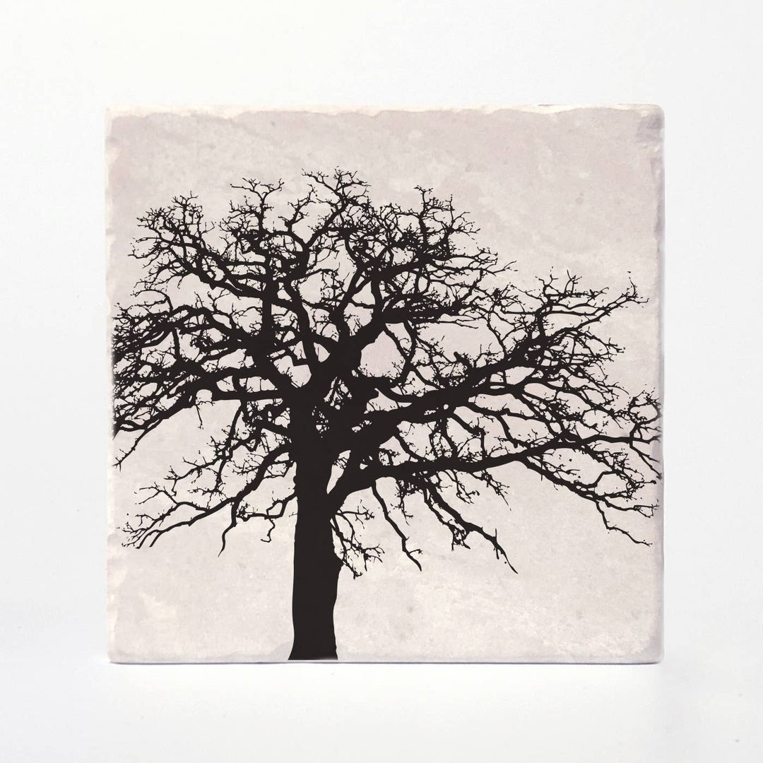 Trees of Life Coasters: