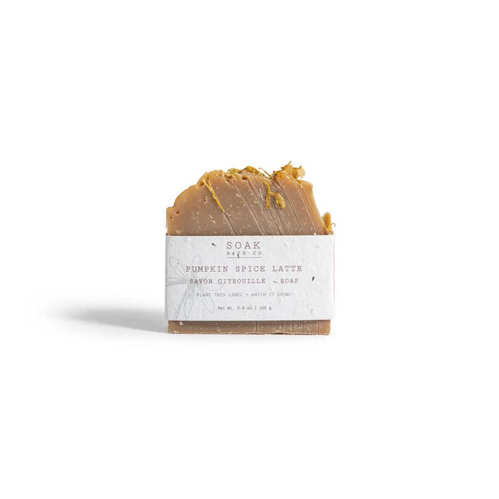 Pumpkin Spice Soap Bar - Fall Collection
