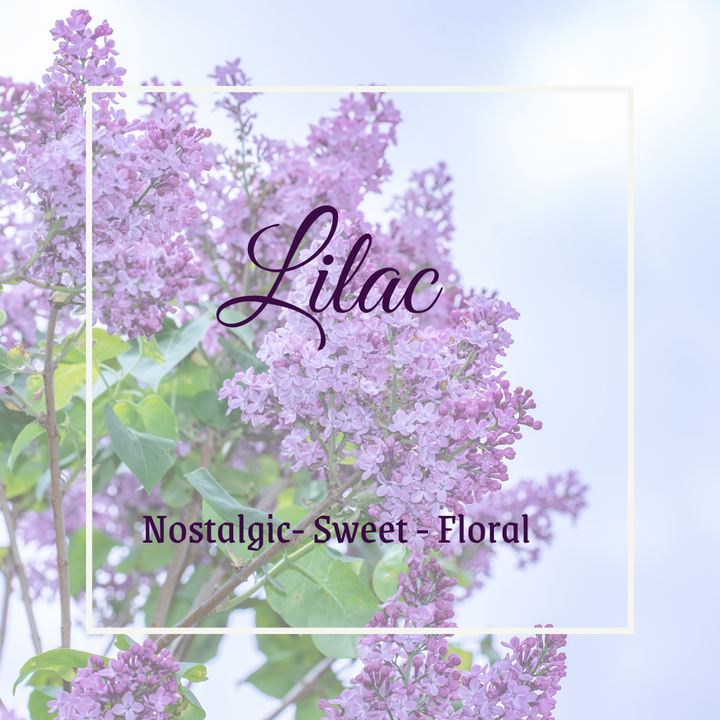 Lilac Linen Spray - Mini
