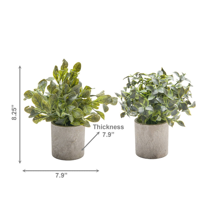 Plante artificielle en pot de ciment (assortiment) : Multiple