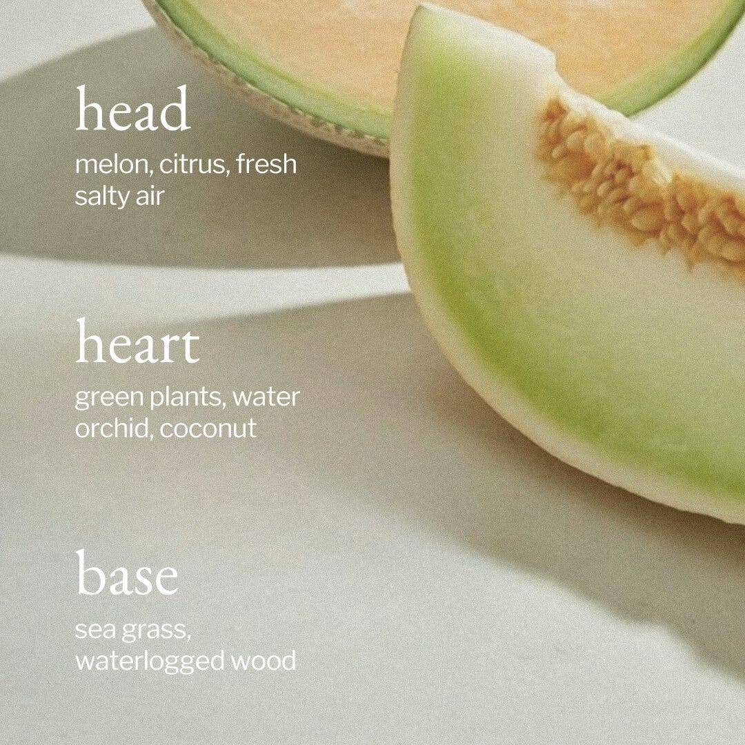 Liquid Dish Soap | Melon + Salty Air - Gift Smack Gift Company