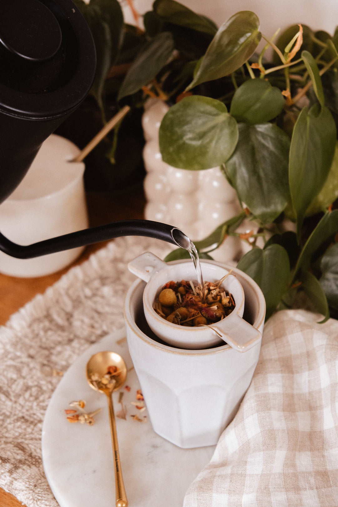 Tea being poured into a white teacup with a plant in the background