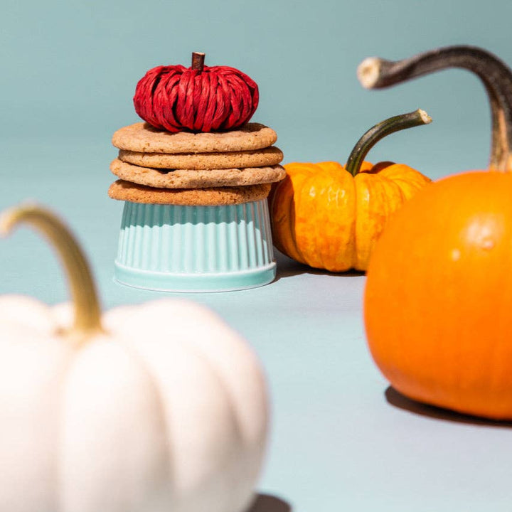 Pumpkin Spice Cookie