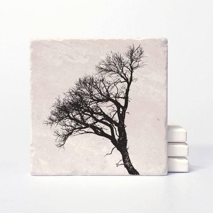 Notebook with a black tree illustration on a light gray cover