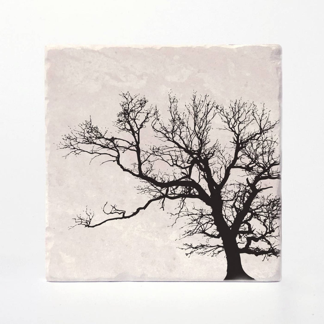 Trees of Life Coasters: