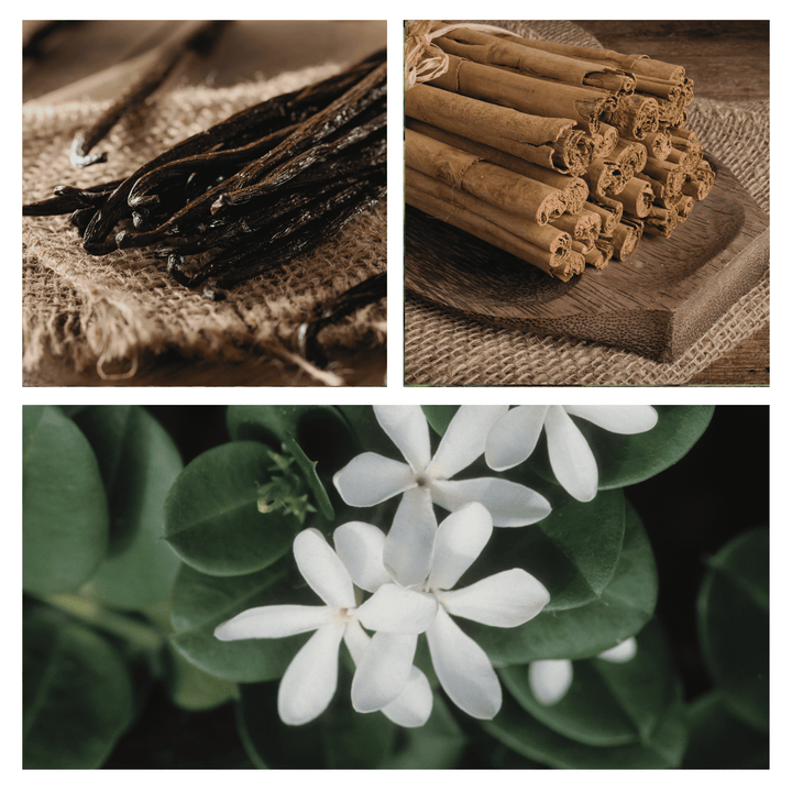 Simmer &amp; Co Be Grounded simmer pot mix with dried herbs and spices in a glass jar for home aroma and cozy ambiance.