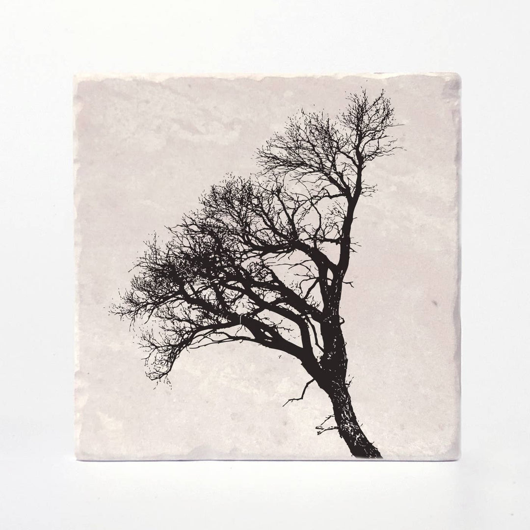 Trees of Life Coasters: