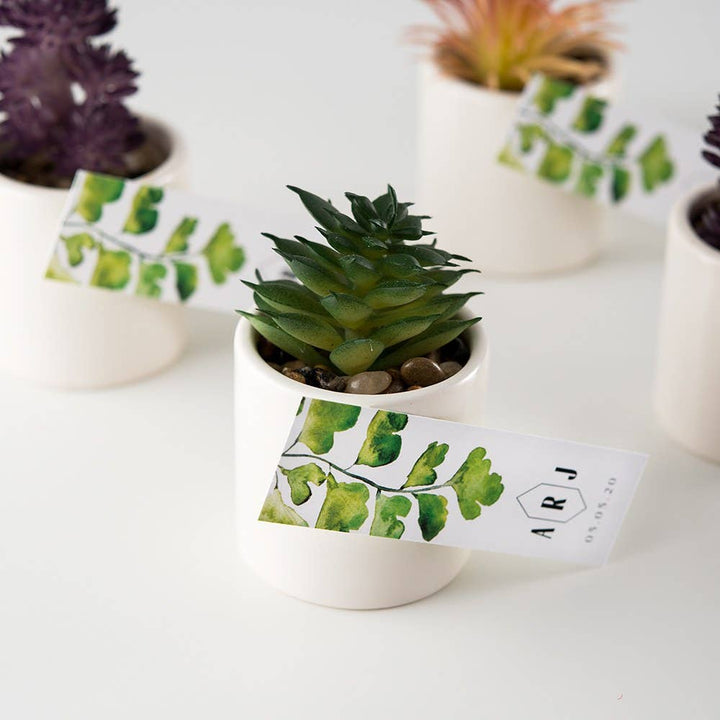 Small Faux Succulent Plant