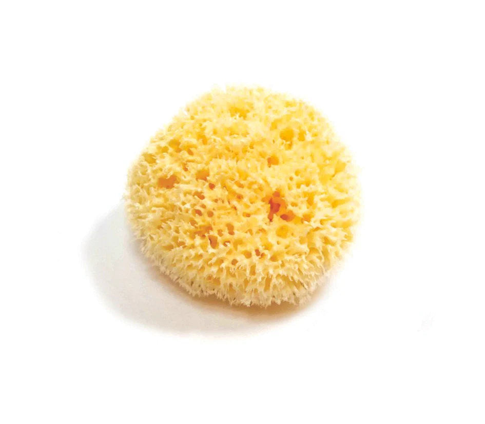 Natural Sea Sponge - Plastic free, organic, wool