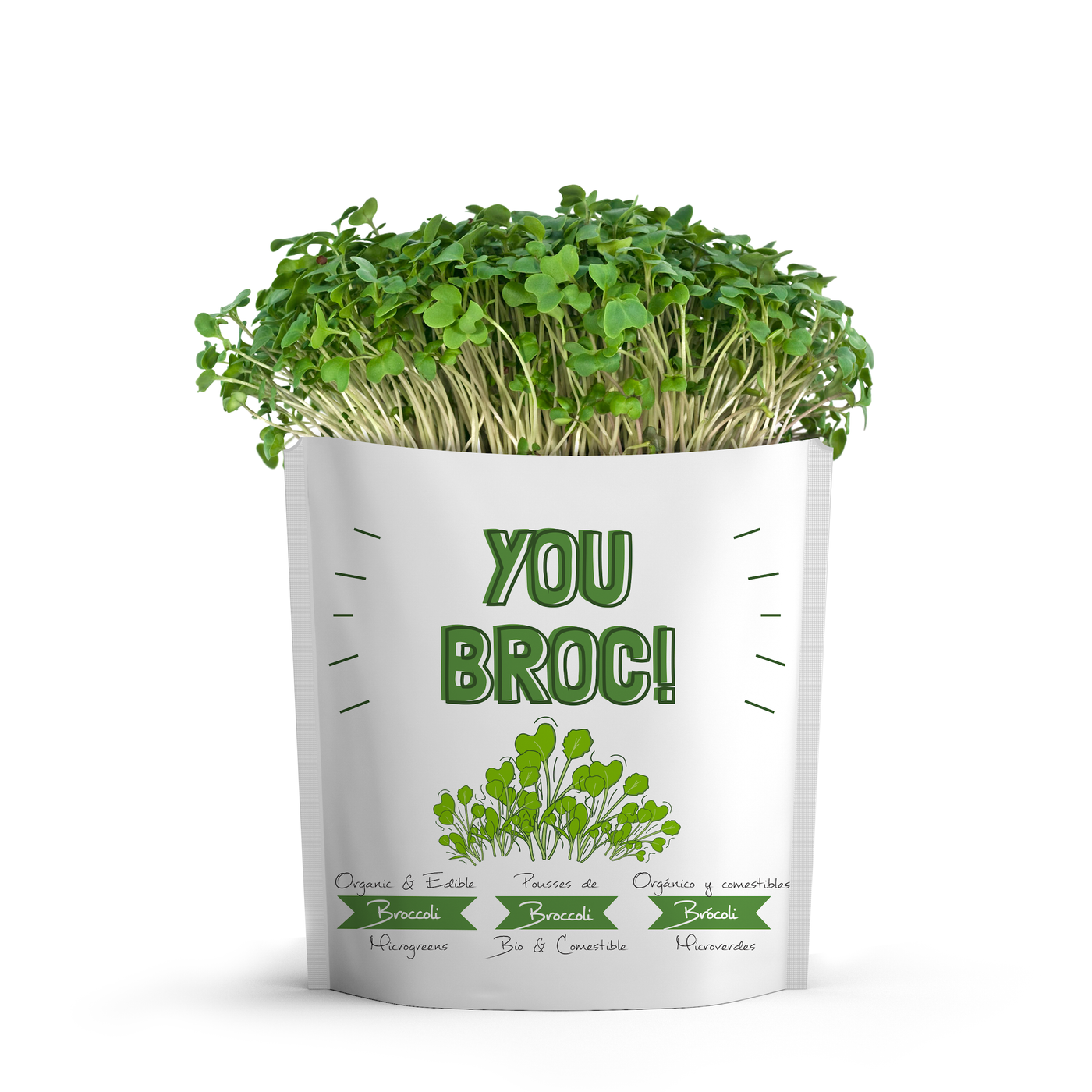 You Broc Greeting Card Pouch