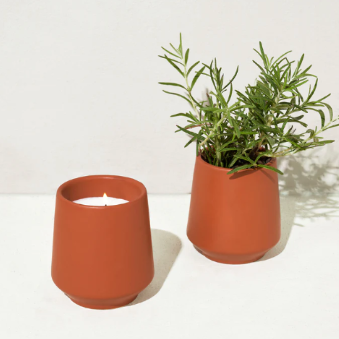 Burn, plant, and grow! This ceramic candle vessel transforms into a planter after the flame has burned down and includes seeds to grow herbs and flowers.  6oz scented soy-blend candle features a light and refreshing scent.  Candle and seed packet are packaged inside a beautifully designed box for easy gifting.
