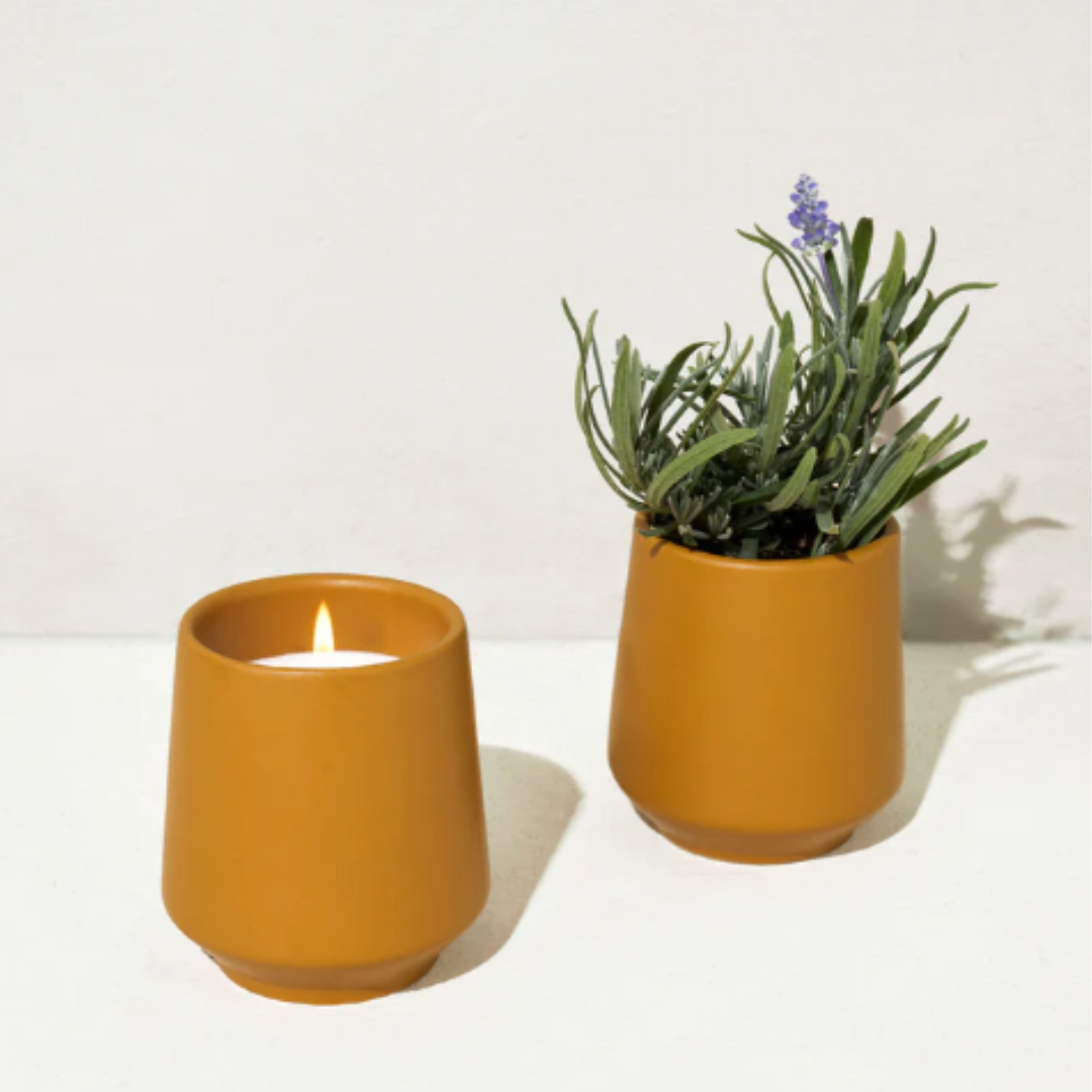 Burn, plant, and grow! This ceramic candle vessel transforms into a planter after the flame has burned down and includes seeds to grow herbs and flowers.  6oz scented soy-blend candle features a light and refreshing scent.  Candle and seed packet are packaged inside a beautifully designed box for easy gifting.