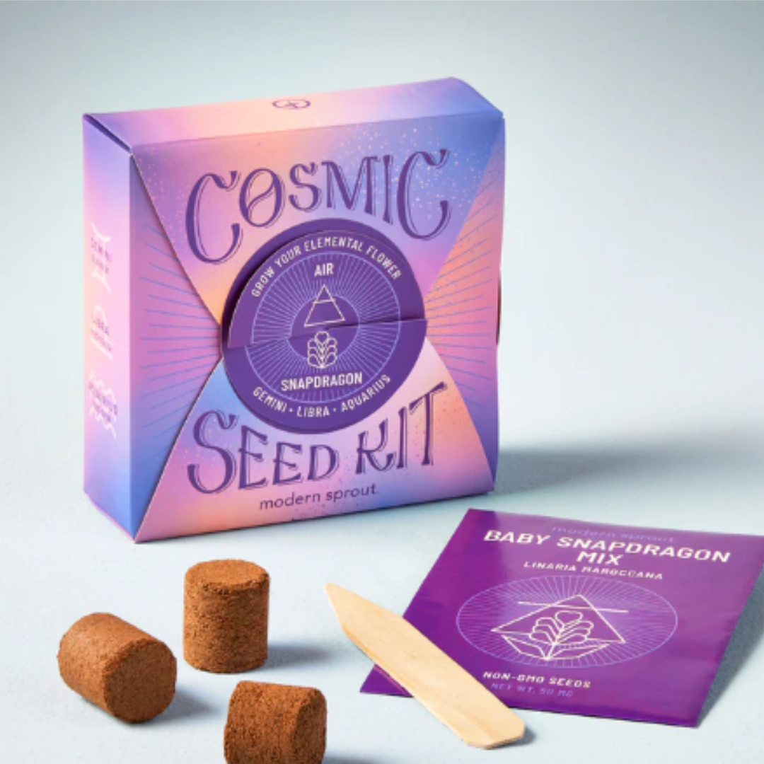 Cosmic Seed Kit- Air