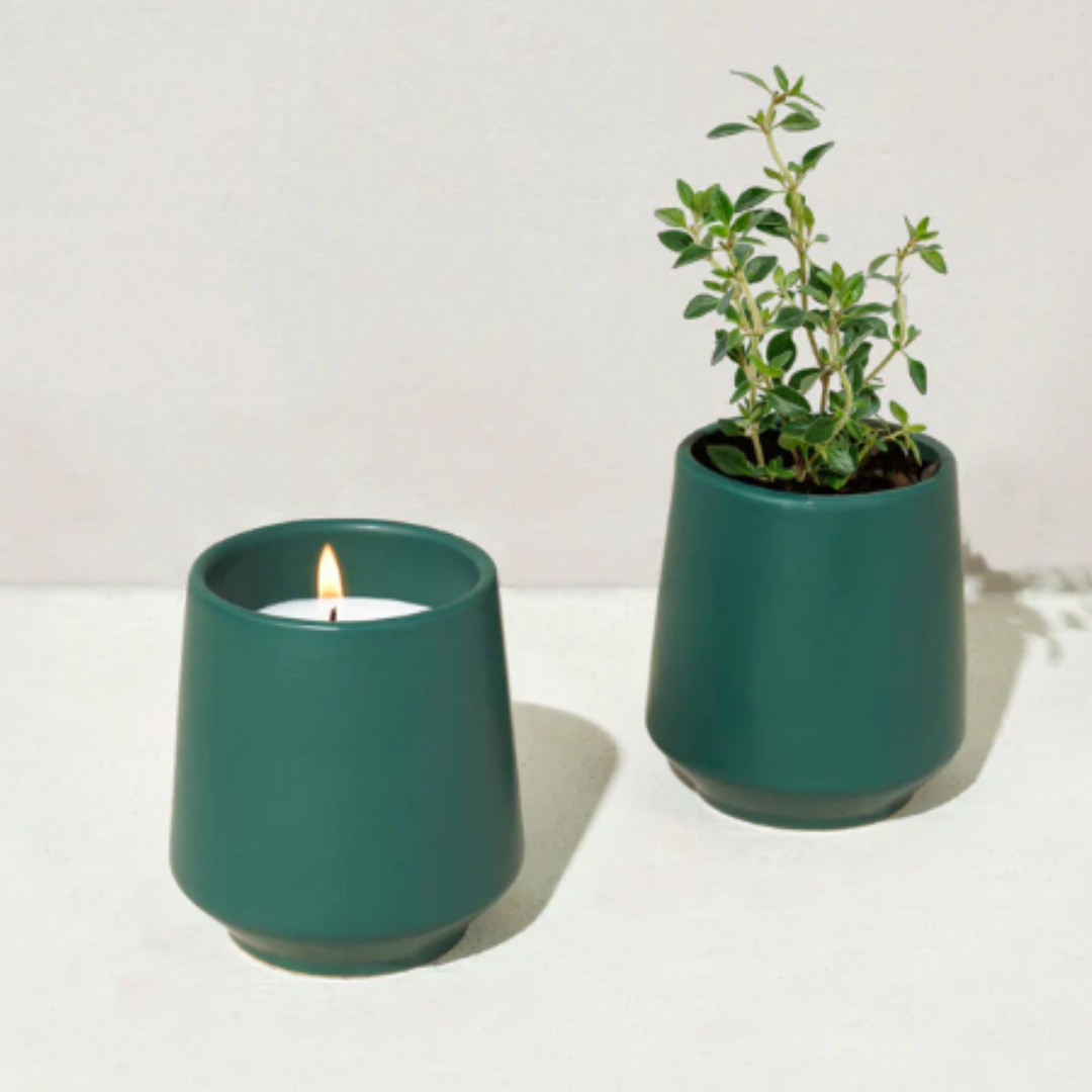 Burn, plant, and grow! This ceramic candle vessel transforms into a planter after the flame has burned down and includes seeds to grow herbs and flowers.  6oz scented soy-blend candle features a light and refreshing scent.  Candle and seed packet are packaged inside a beautifully designed box for easy gifting.