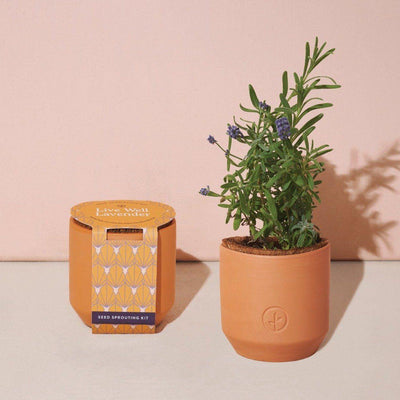 Modern Sprout Live Well Lavender Housewares Modern Sprout 